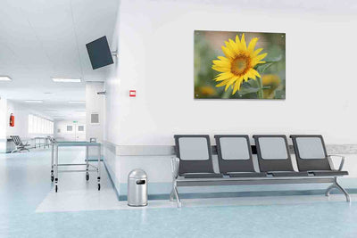 Updating Art in Your Medical Office - Where to start?